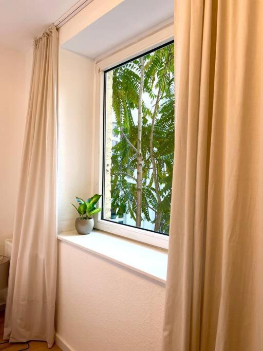 Apartment New! Modern