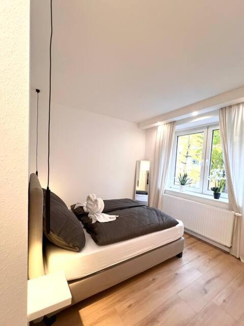 New! Modern Düsseldorf